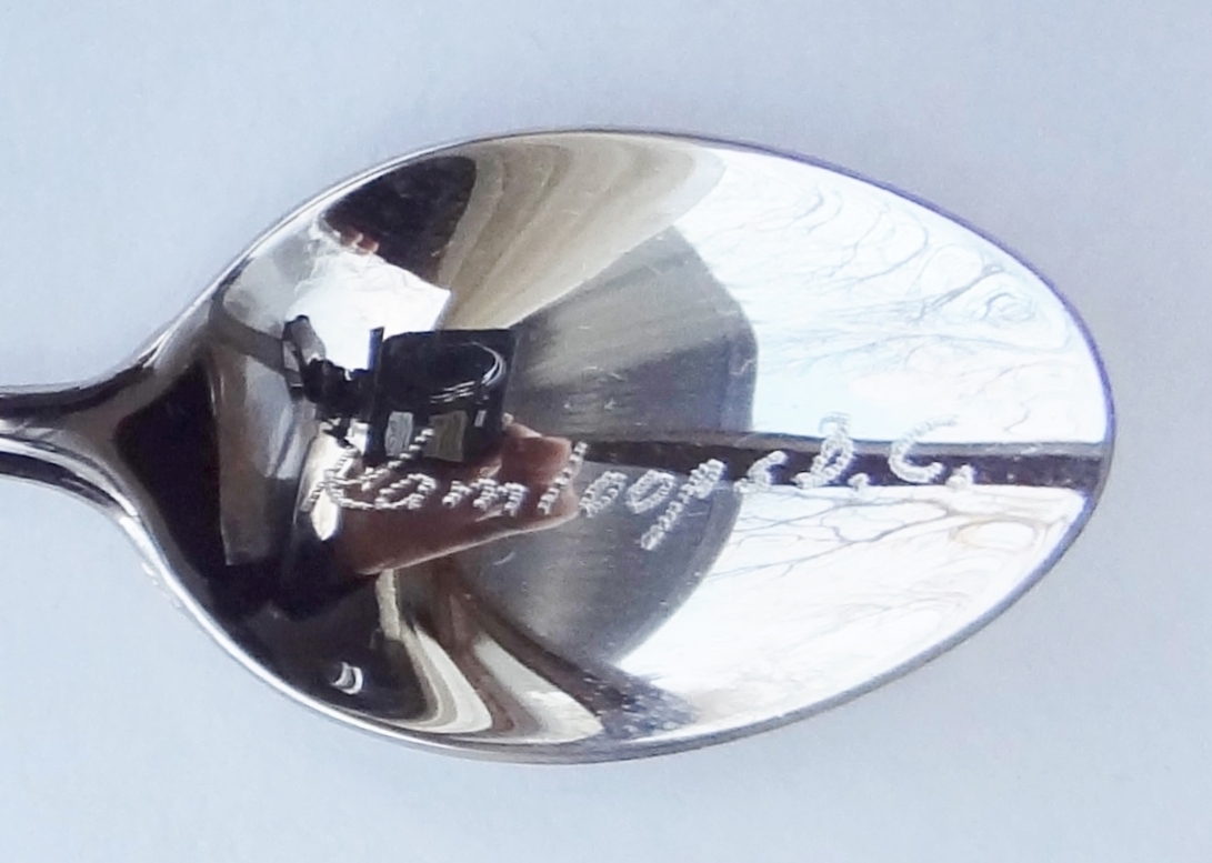 Collector Souvenir Spoon Canada BC Kamloops Kami the Trout Cloisonne