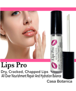 Lips Pro Authentic Long Wear New Seal 0.5oz Petroleum Free Casa Botanica - $14.00