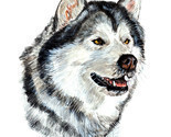 Alaskan Malamute Arctic Sled Sledding Mushing Alaska State Dog Decal Sticker Art