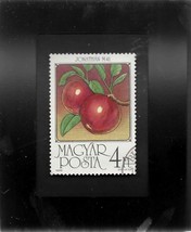 Tchotchke Framed Stamp Art - World Art Paintings - Apples - $7.99