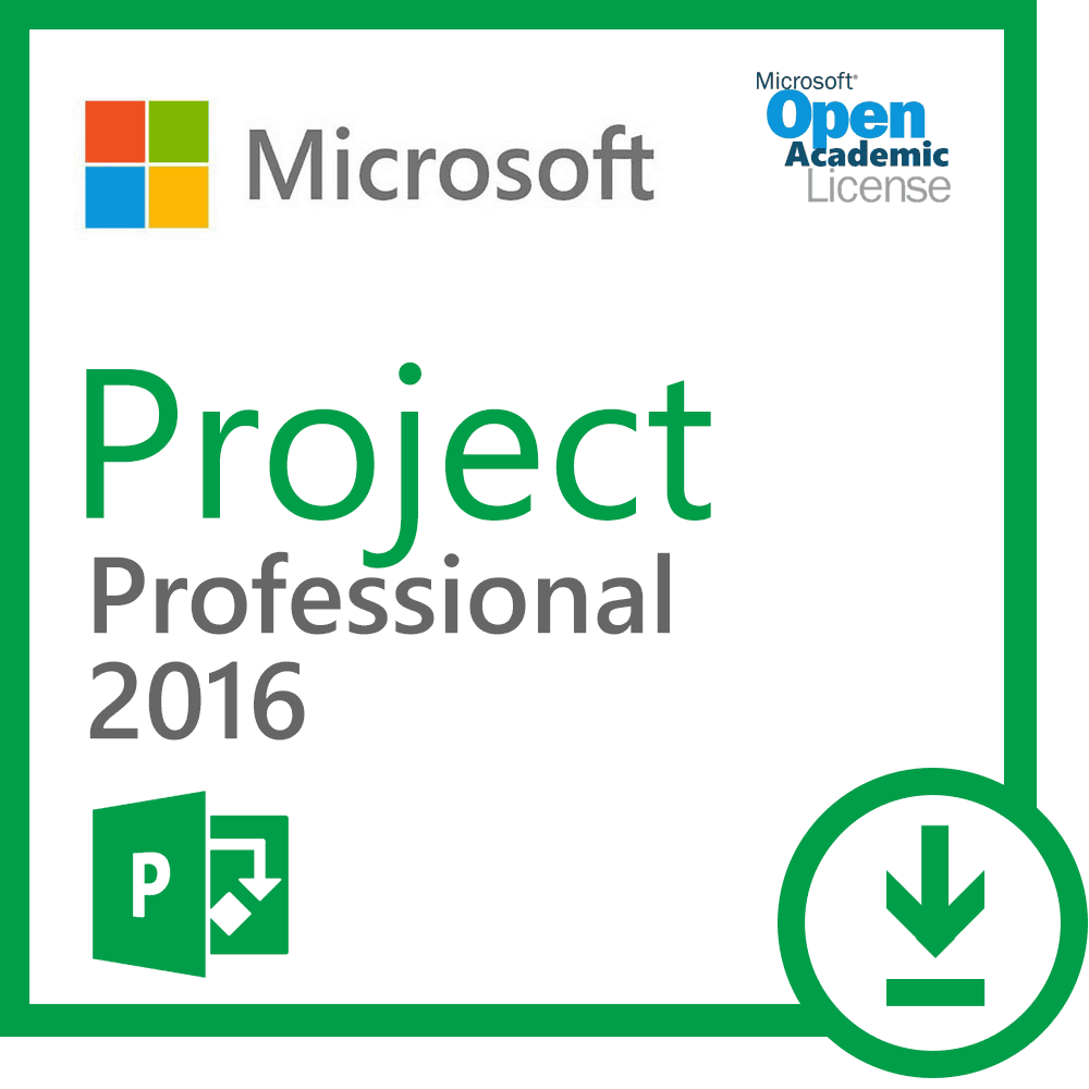 ms project professional ms project professional