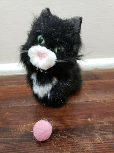 licorice american girl cat