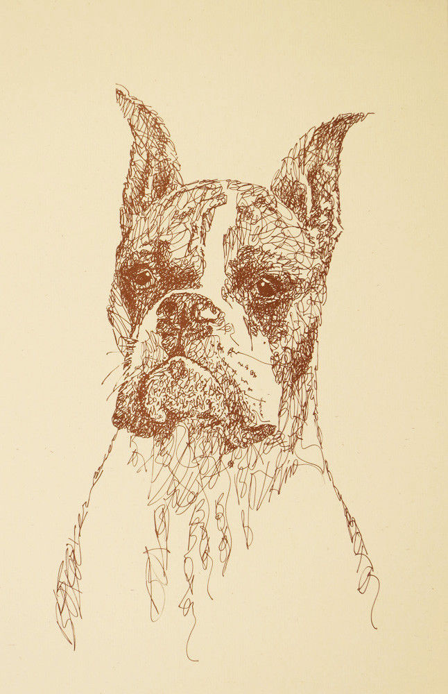 BOXER DOG ART CROPPED Print #44 DRAWN FROM WORDS Kline adds your dogs name free.