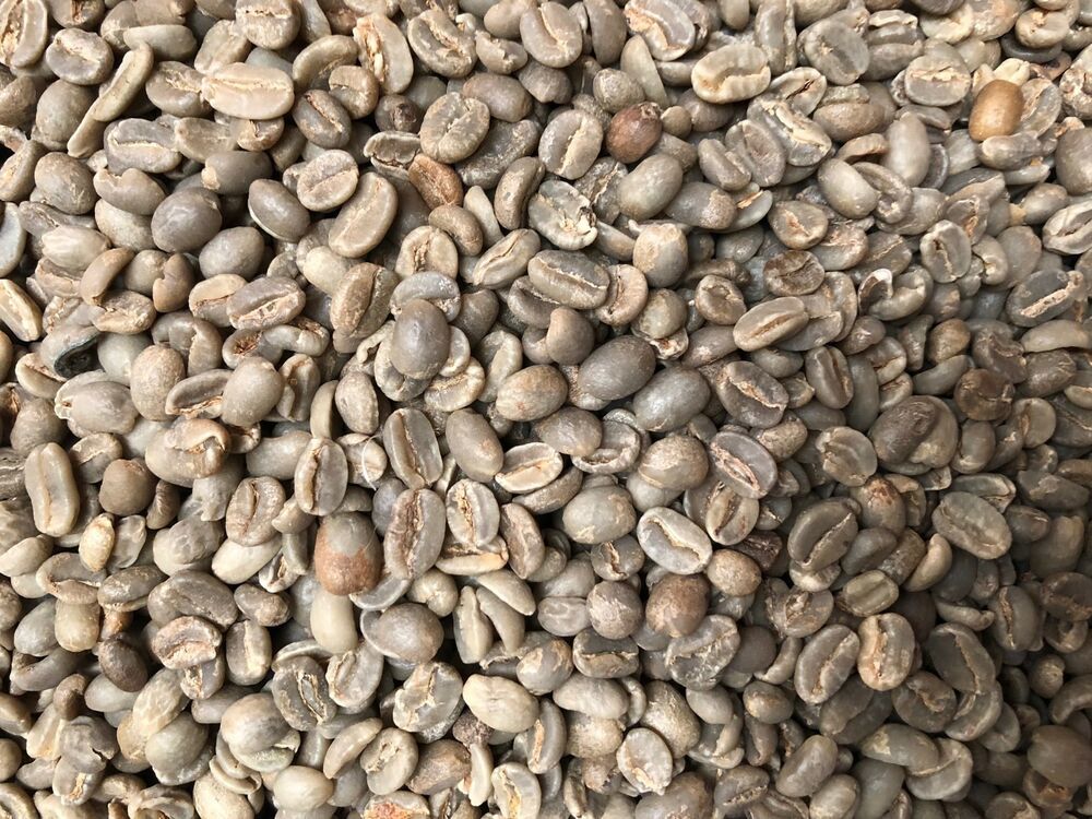 sumatra beans