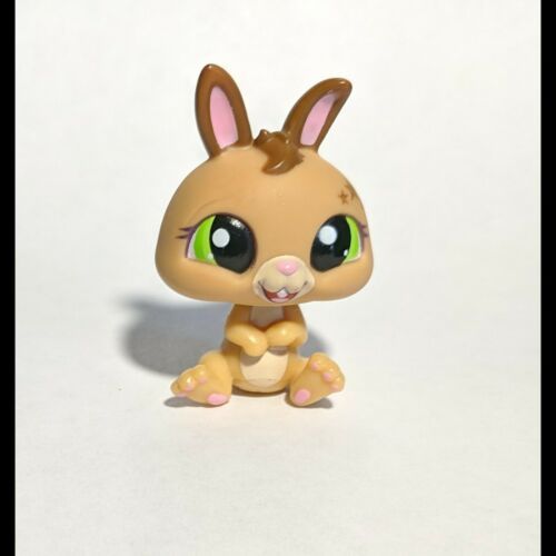 Littlest Pet Shop Bunny Rabbit Long Ears 1019 Pink Green Brown Authentic Lps 