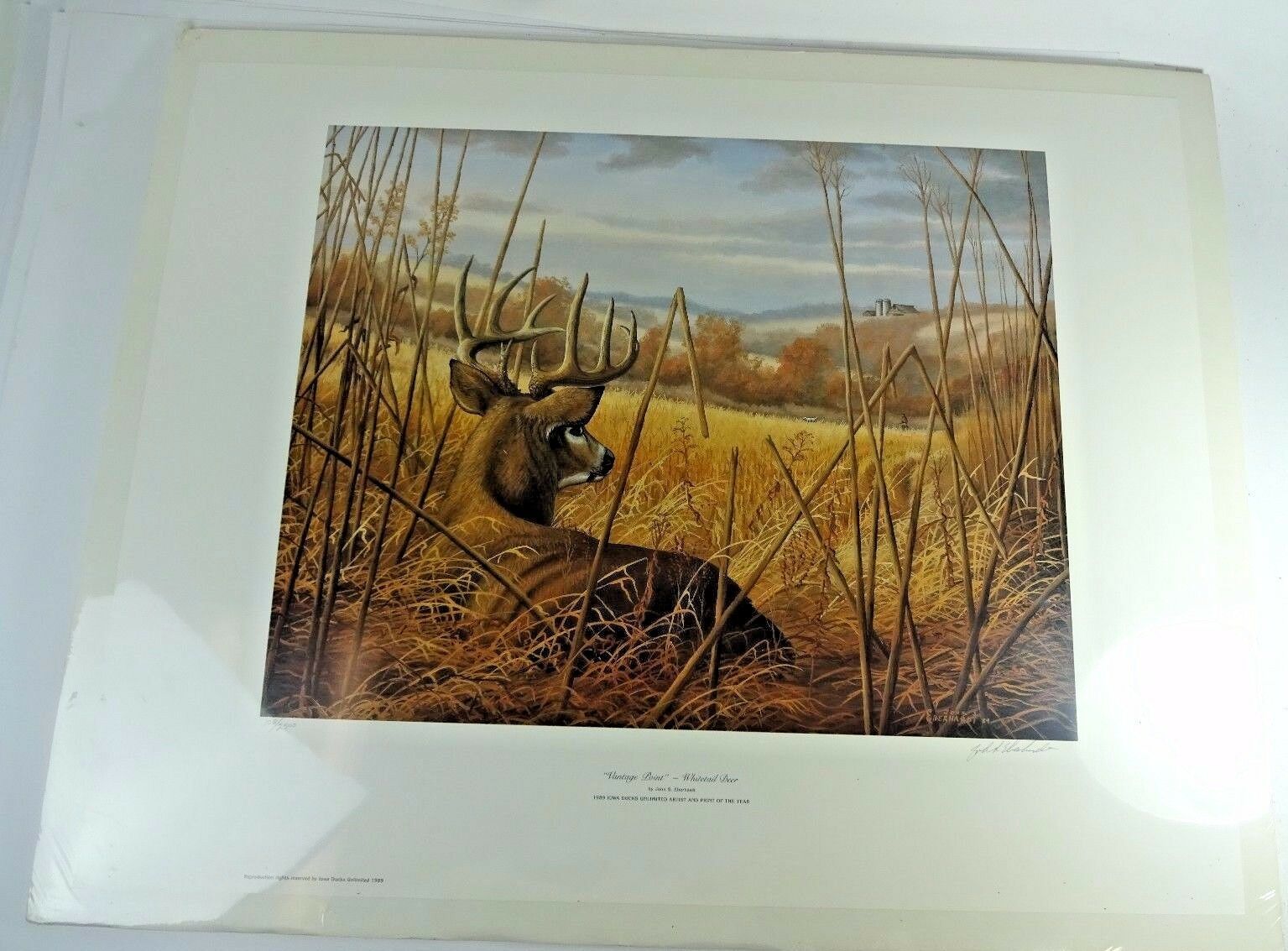 John Eberhardt "Vantage Point Whitetail Deer" Wildlife Print Signed