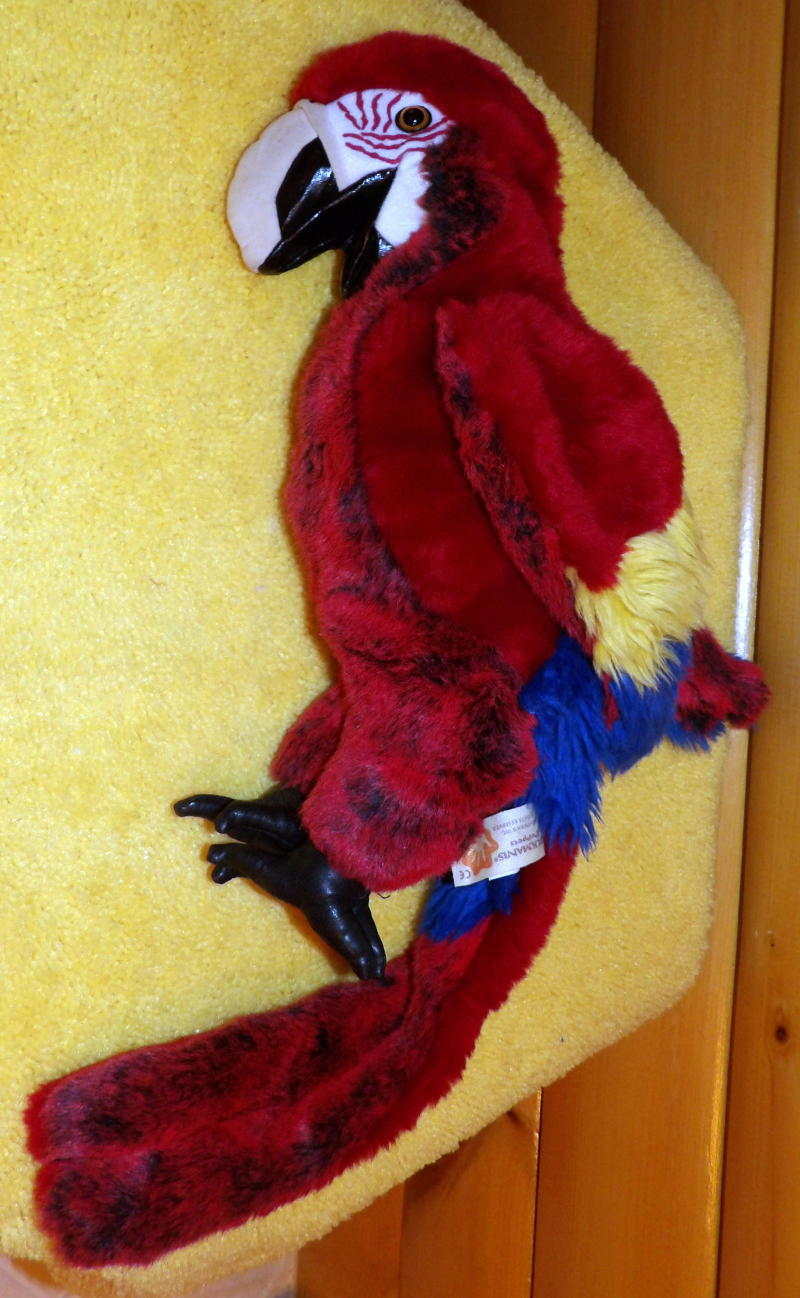 folkmanis scarlet macaw puppet