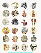 Anatomycirc thumb200