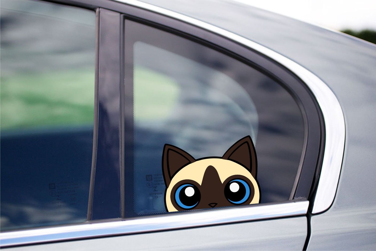 Siamese Cat Peeking Peek Peekers Bumper Window Vinyl Decal Kitten Pet Stickers