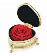 Valentines Day Gifts for Her Real Preserved Flower Rose Immortal Forever Red - £60.91 GBP