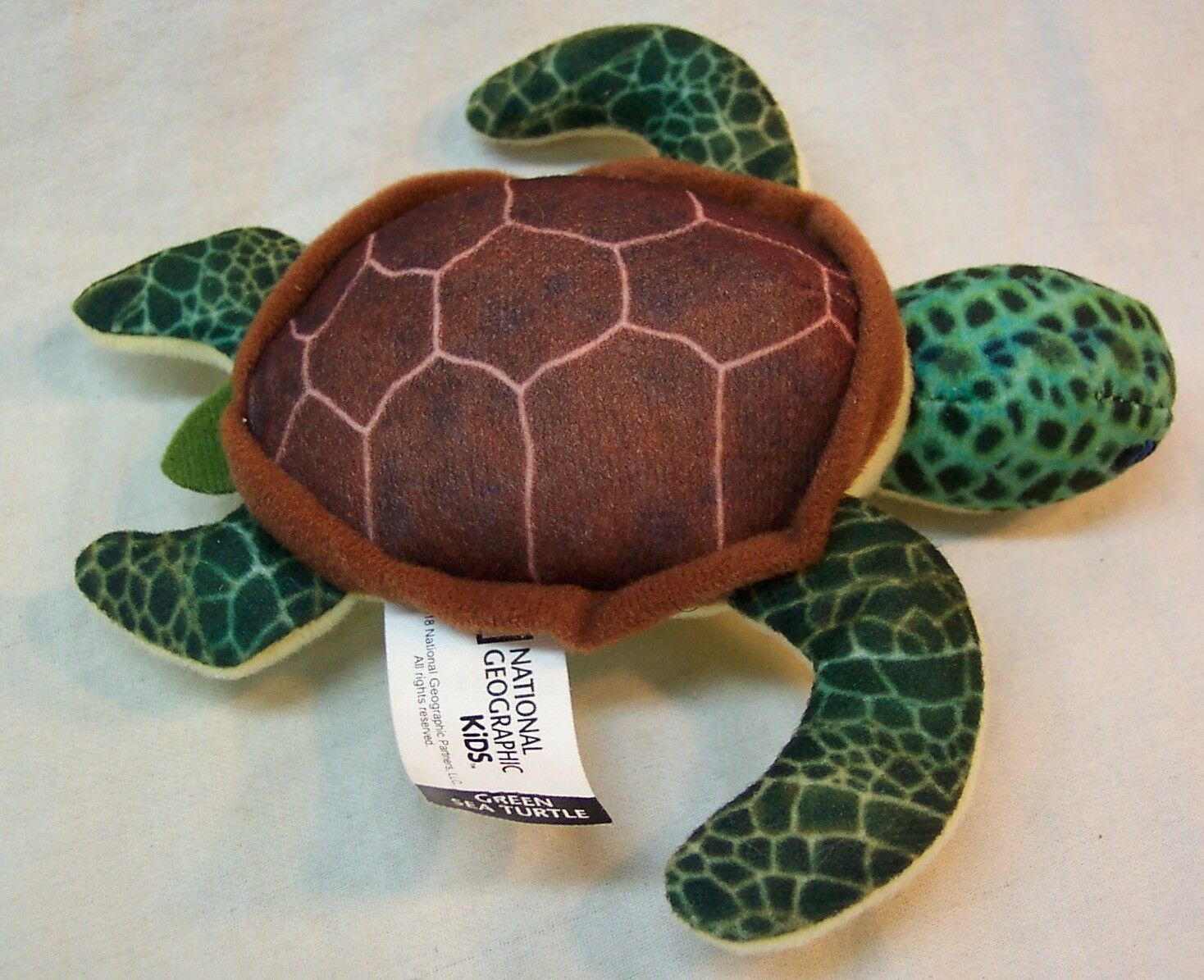 sea turtle stuffed animal near me