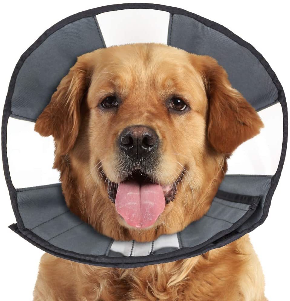 Primary image for ZenPet Soft Recovery Dog & Cat Collar