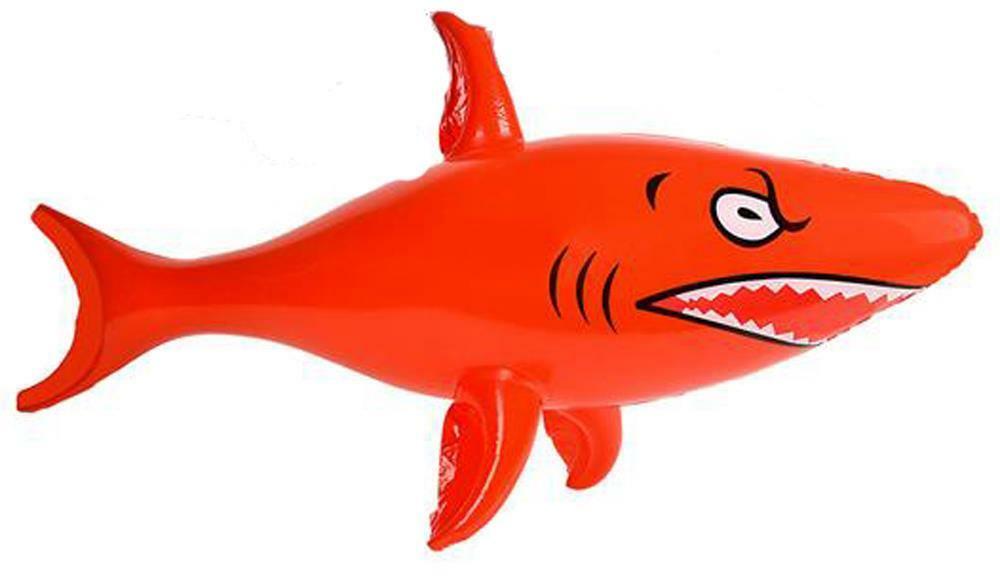 blow up shark pool toy