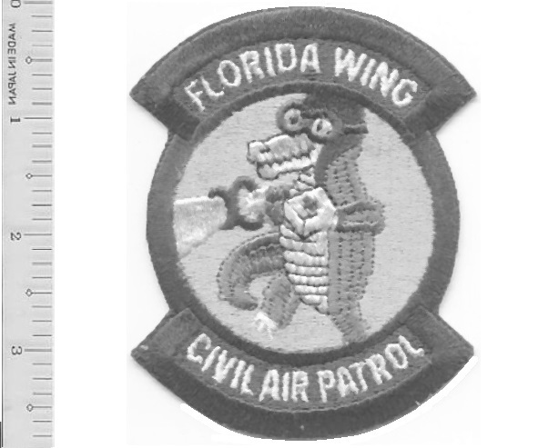 USAF Air Force Auxillery CAP GEORGIA WING Civil Air Patrol Squadron patch