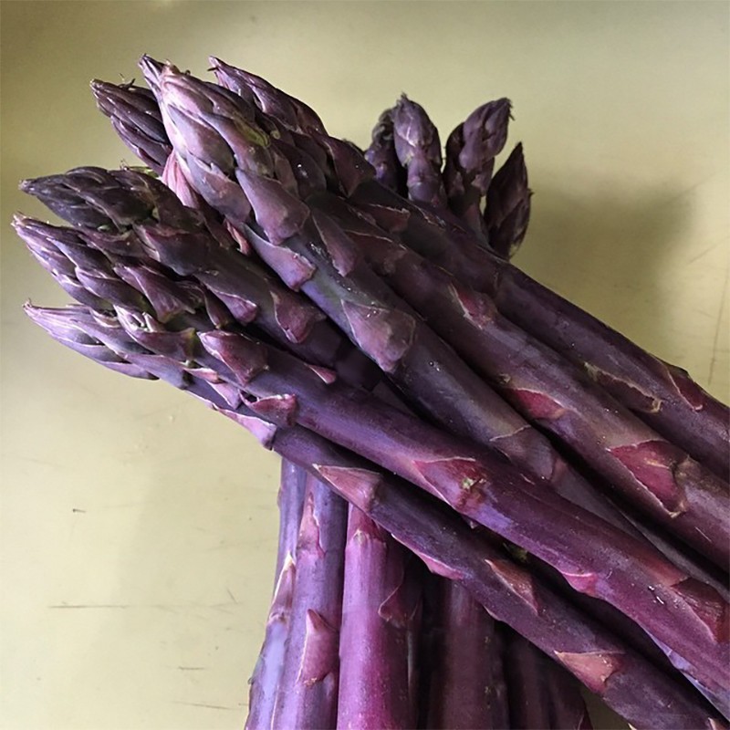 “ 50 PCS SEEDS Four Seasons Purple Asparagus seeds,Delicious jardin vegetable se