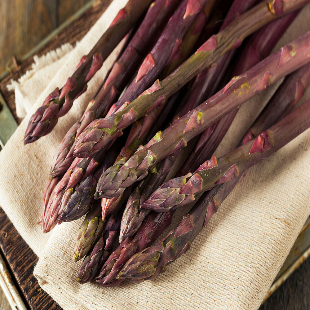 5 Purple Passion Live Asparagus Bare Roots - 2yr Crowns - Hand Picked Nursery
