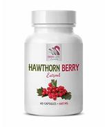 Digestive Support Supplements - Hawthorn Berry Extract 665MG - Keyword2 ... - $15.63