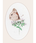“Buckeye-to-Eye,” A. Rose Designs note card - $5.95
