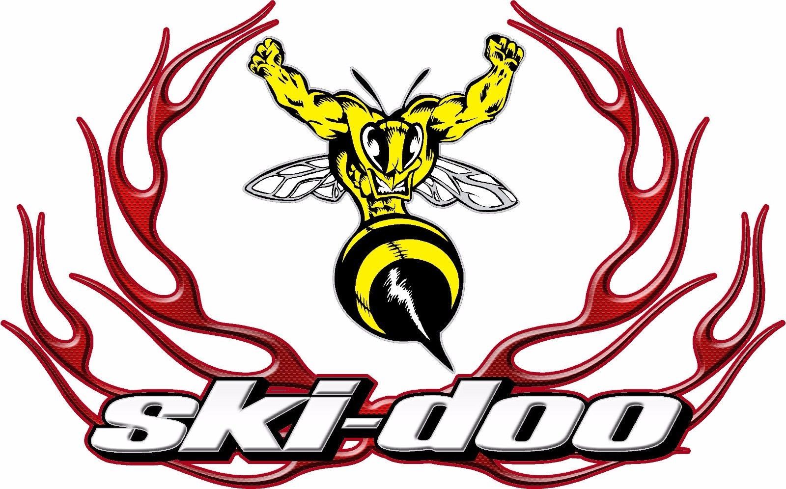 Image of Race Car Truck Trailer Snowmobile Ski Doo Circle Flame Vinyl Decal