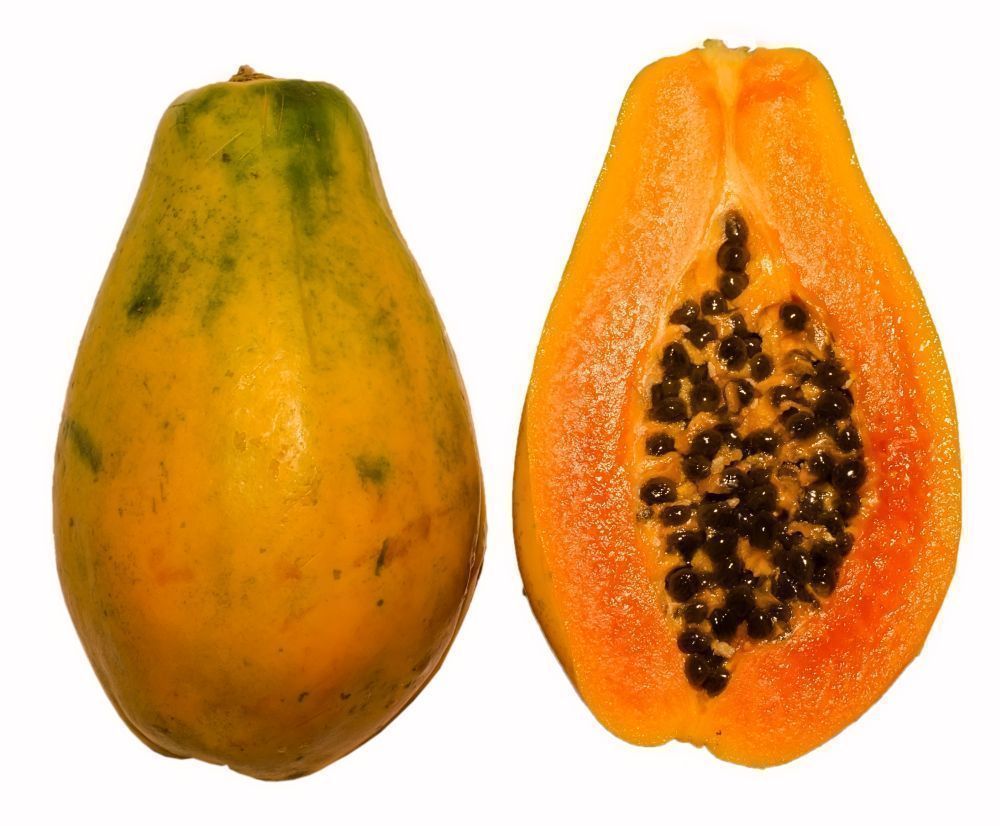 maradol papaya seeds