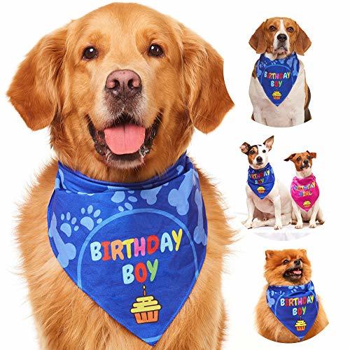 Odi Style Dog Bandana for Dog Birthday Party - Dog Birthday Bandana for ...