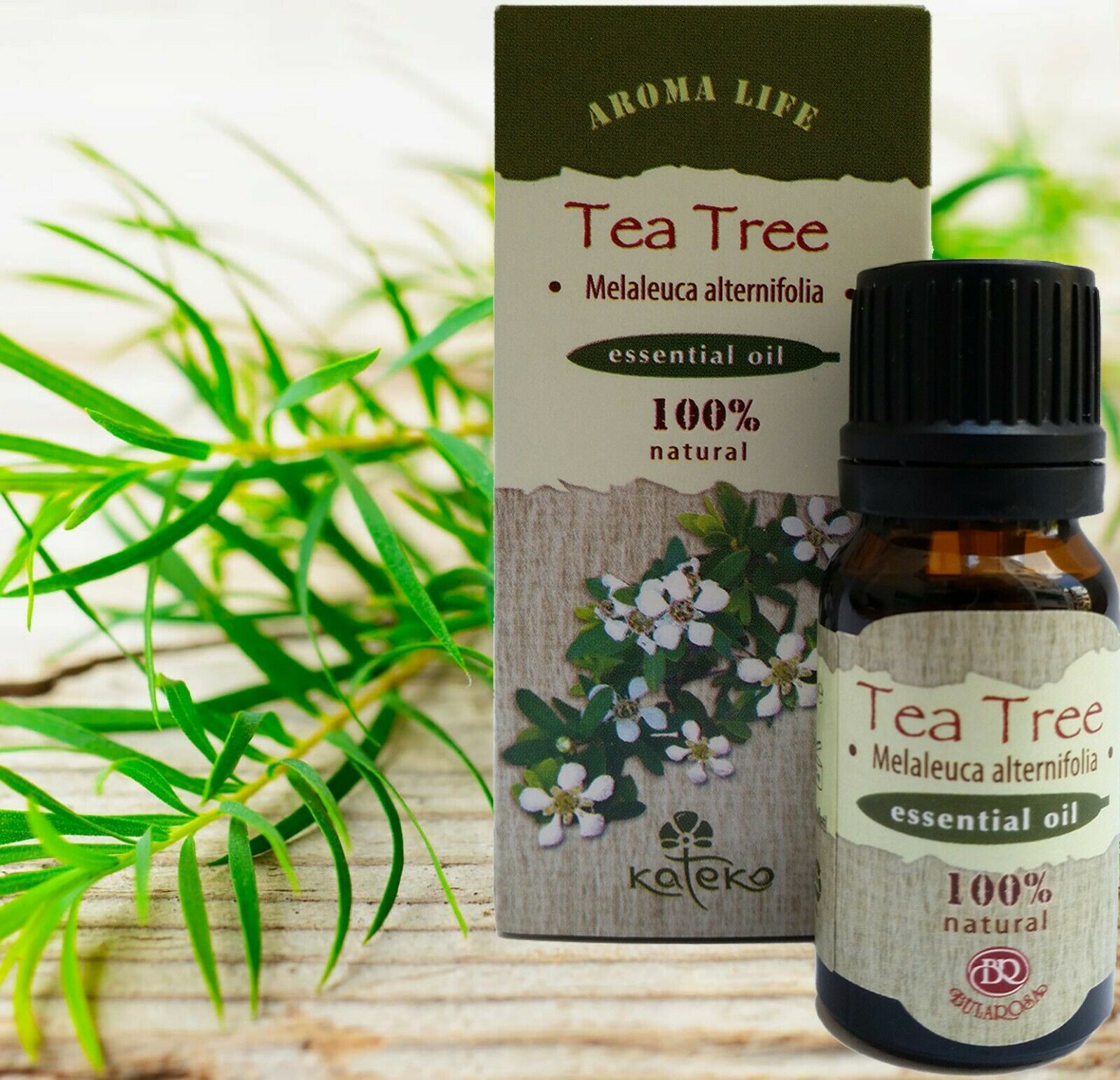 Крем tea tree отзывы. Чайное дерево. Масло чайного дерева. Ароматерапия чайное дерево. Масло чайного дерева и ароматерапия.