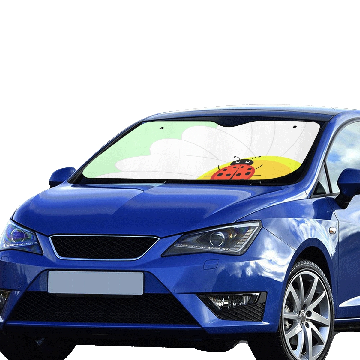 Car incest Car incest