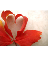 SIMPLE-LOVE SPELL POWERFUL BY HAMJADAH - $49.00