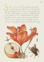 14086.Decor Poster.Kitchen wall design.Renaissance floral calligraphy art - $14.25+
