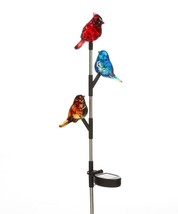Trio of Birds Solar Garden Stake Cardinal Blue Jay Yellow Bird Acrylic Metal