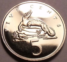 Rare Proof Jamaica 1977 5 Cents~Crocodile~10,000 Minted~Excellent~Free Shipping - $4.89