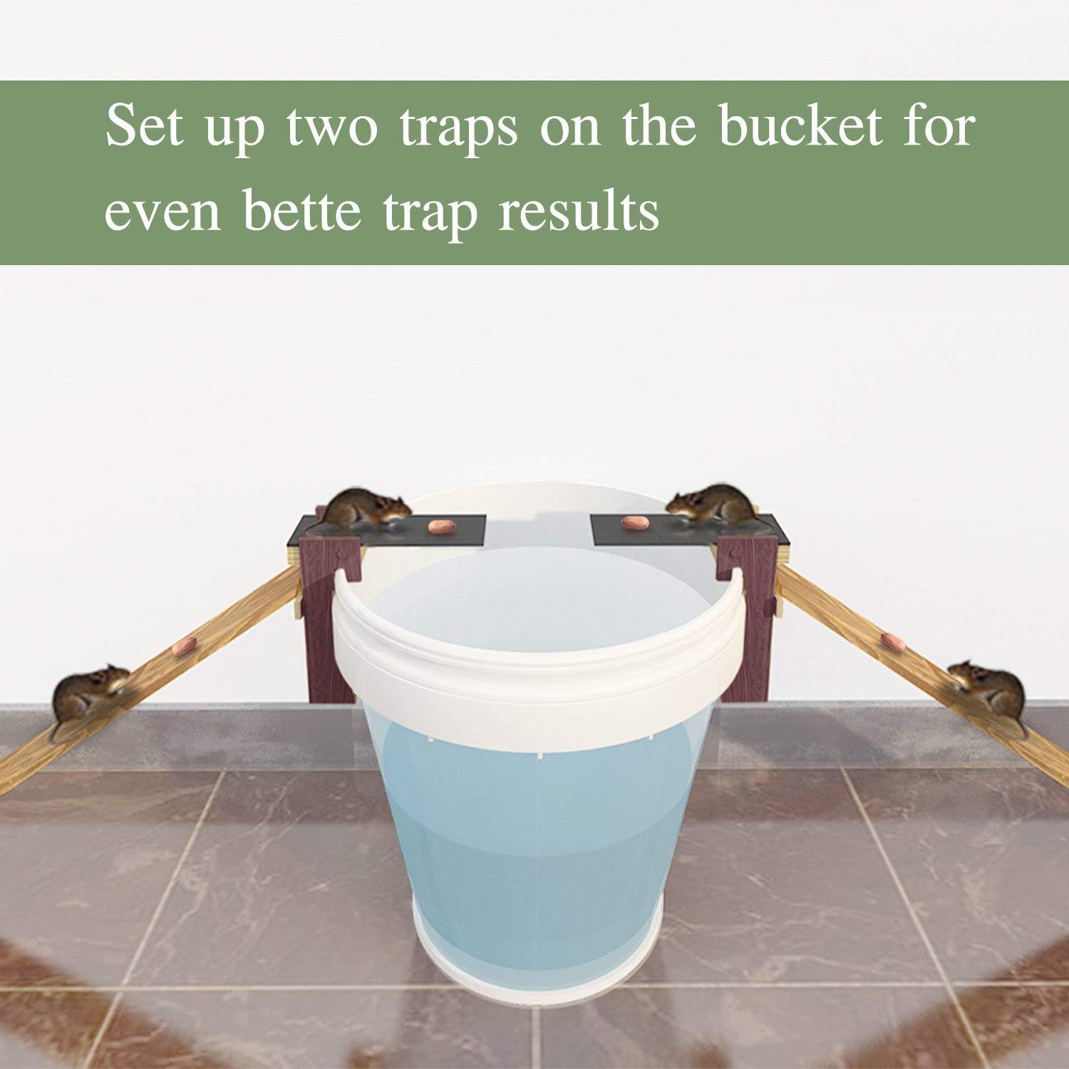 Have a Heart Trap Walk the Plank Mouse Trap Humane Rat Traps Kill