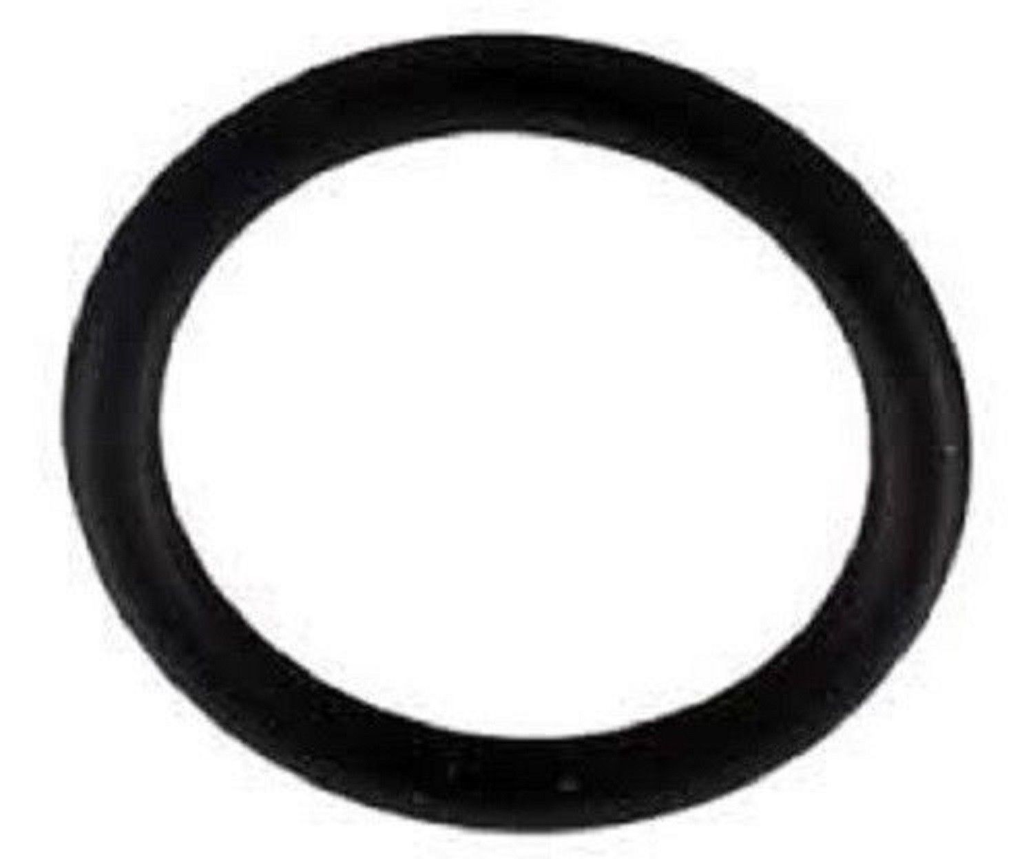 Pentair Single ORing ONLY Replacement (1) Pc. For Clean and Clear Plus