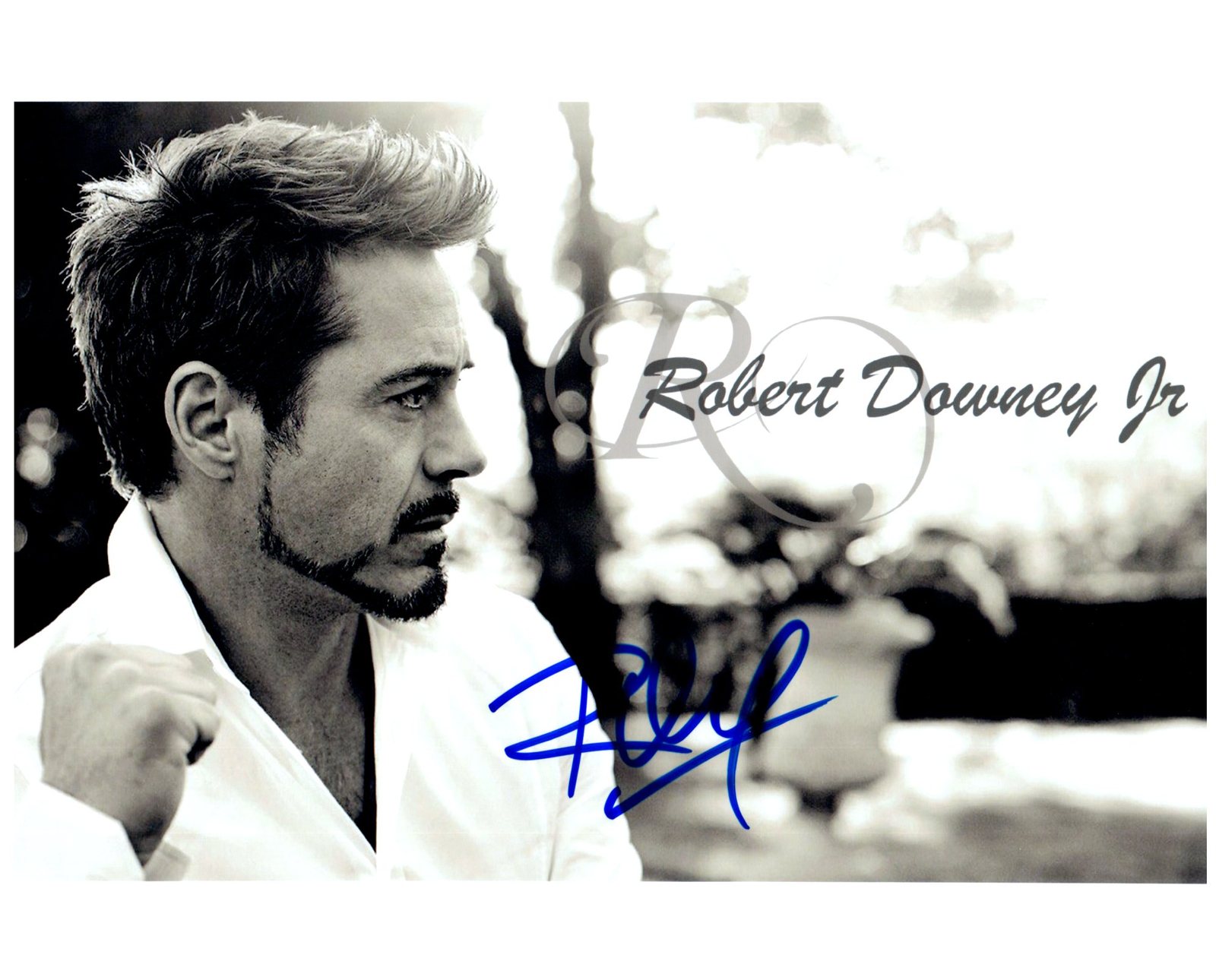 ROBERT DOWNEY JR SIGNED AUTOGRAPHED 8X10 PHOTO w/ Certificate of