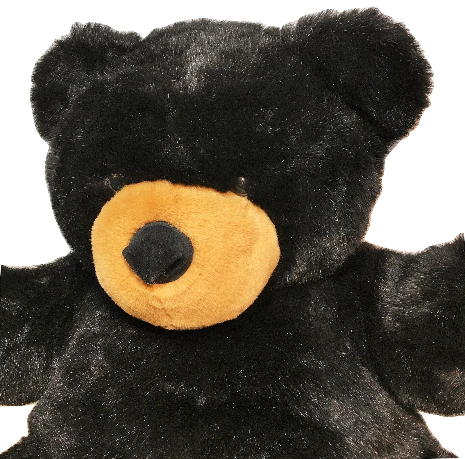 real stuffed black bear