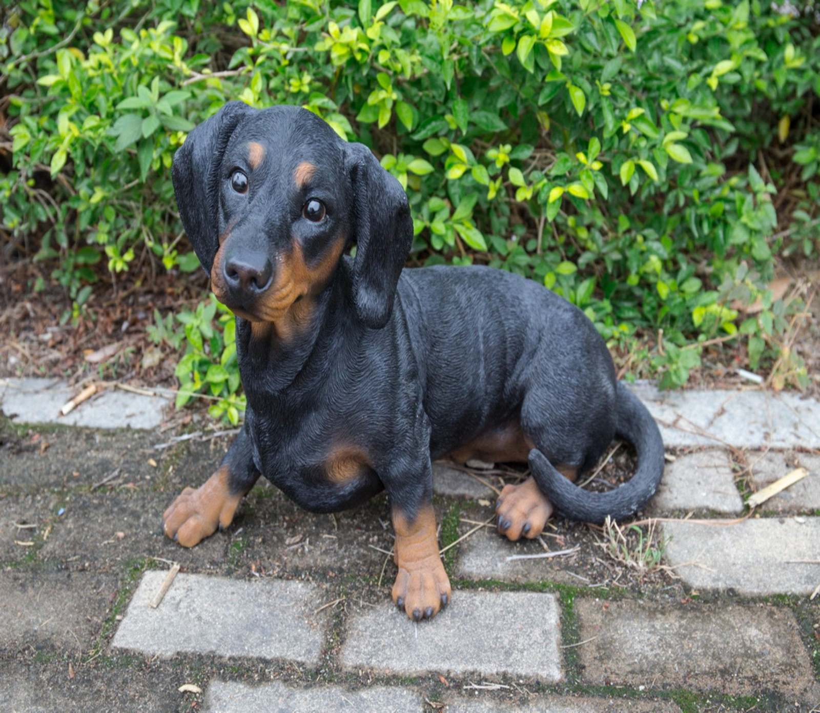 DogDachshundGarden Statue, Home Decor, Garden Decor Statues & Lawn
