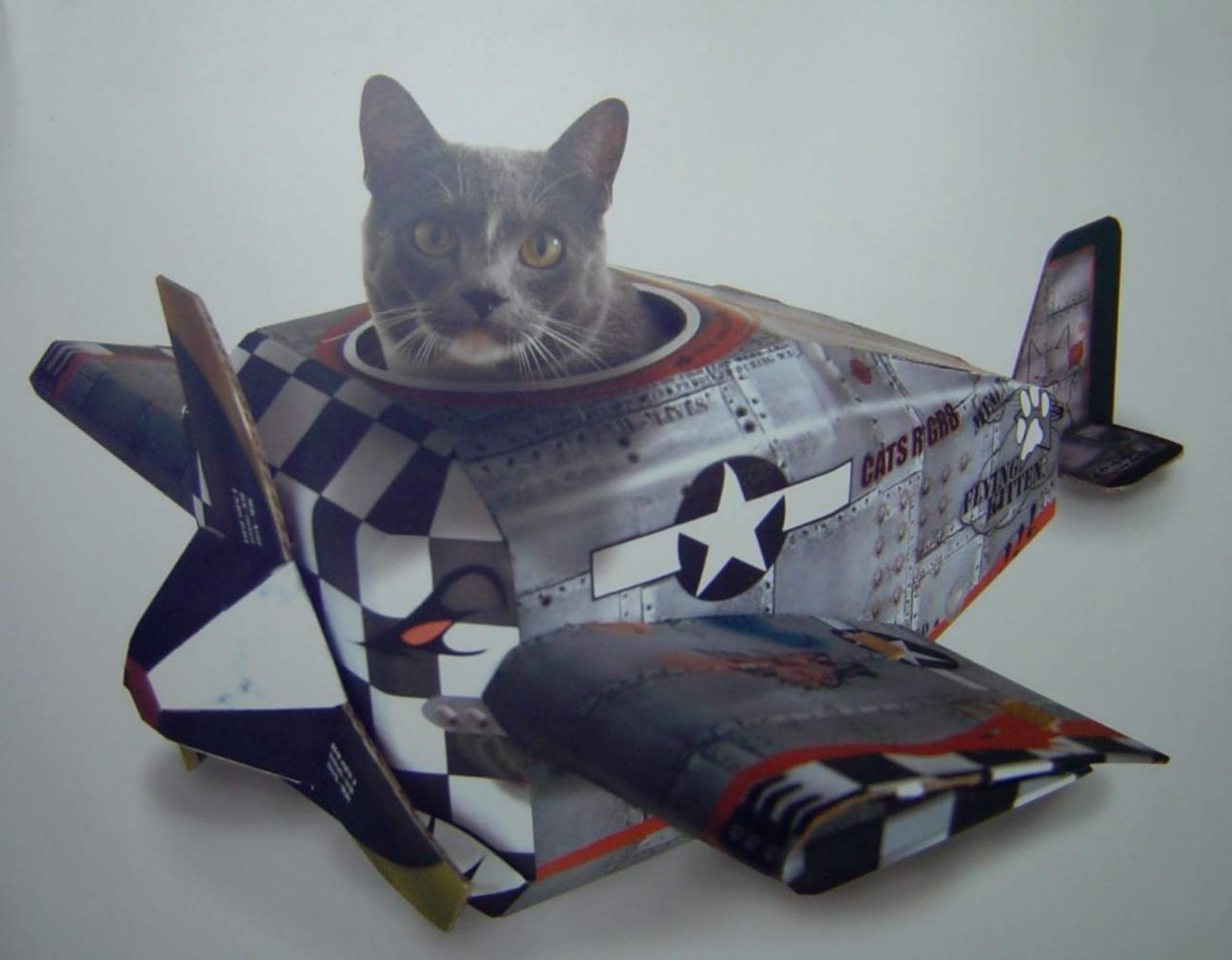 CAT PLAYHOUSEKitty Fighter Jet PlaneCardboard House Toys
