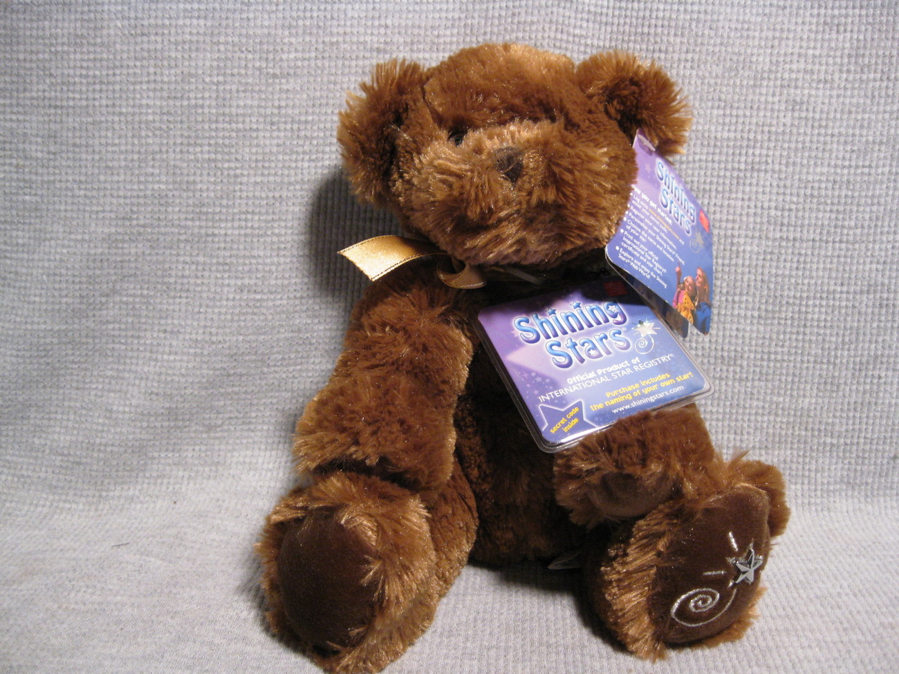 shining star teddy bear