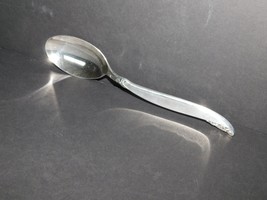 1847 Rogers Bros. Leilani (1961) tablespoon (serving spoon) VGU - $6.97