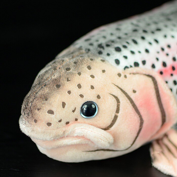 rainbow trout plush