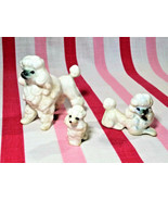 Charming Vintage 3pc Trio White Standard Poodle Family Bone China Figurines - $28.00