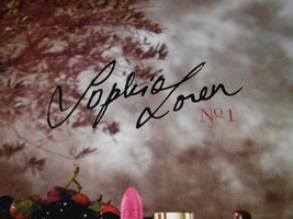 Sophia Loren Facsimile Signed Framed 2015 Dolce & Gabbana Advertising Display image 2