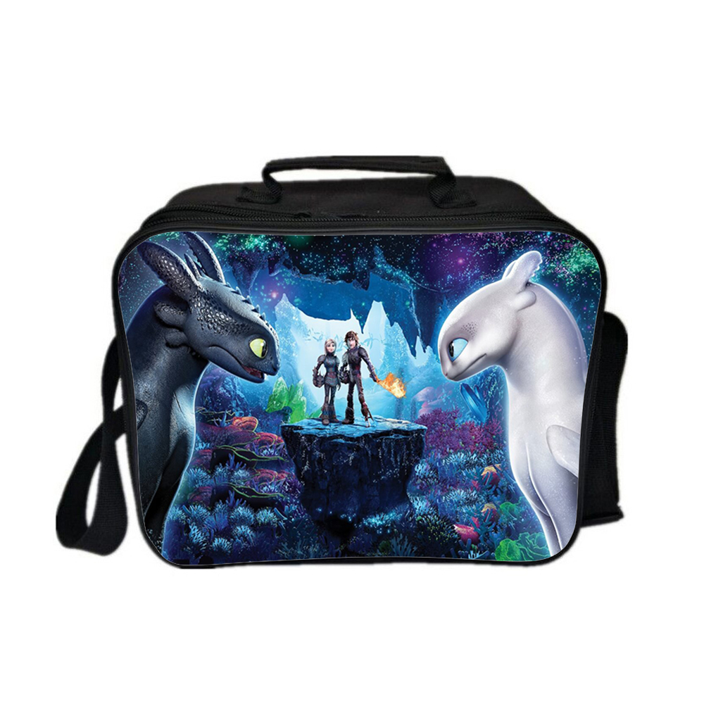WM How To Train Your Dragon Lunch Box Lunch Bag Kid Adult D