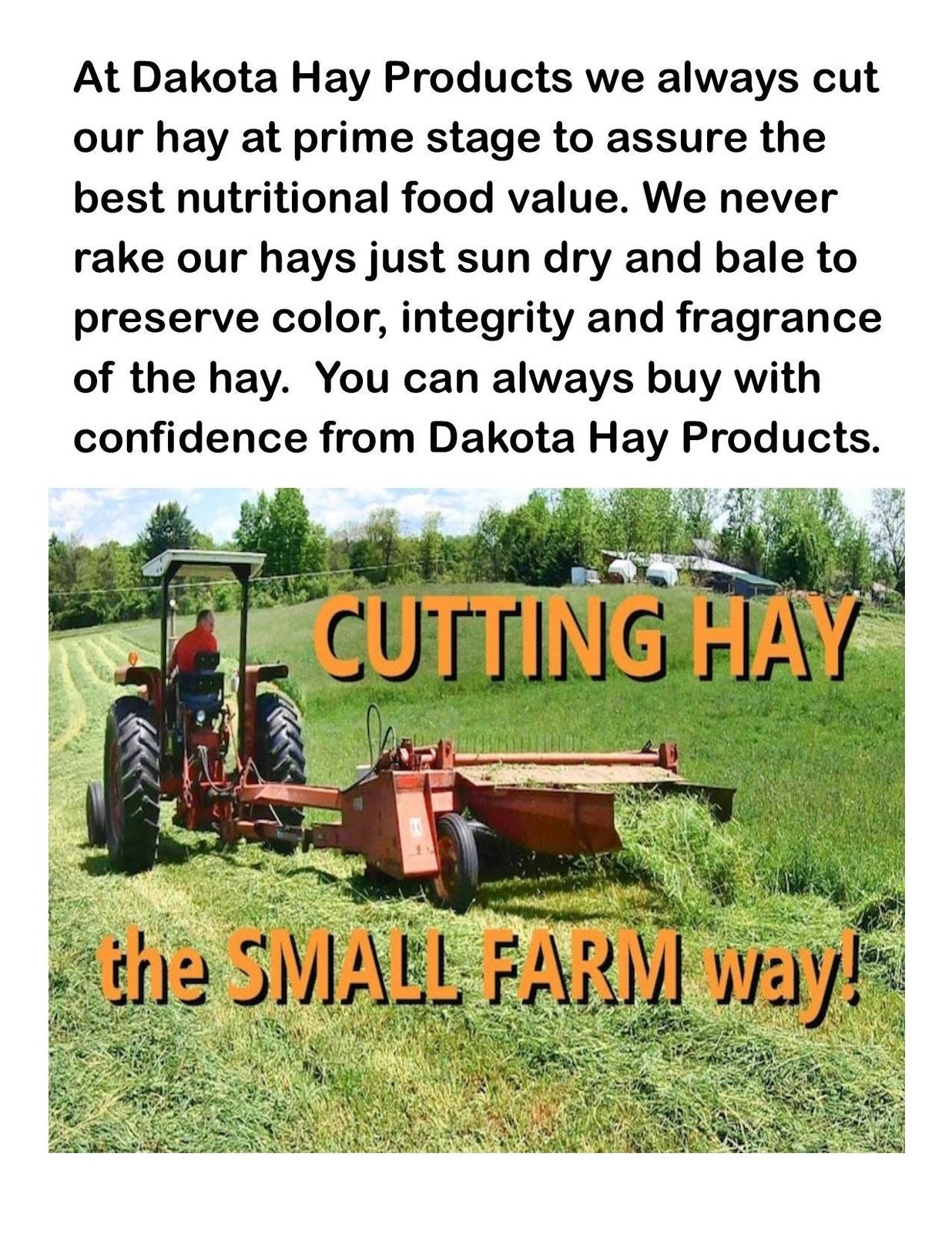 Orchard grass Hay 5 lbs. green, clean, fresh and good for all small