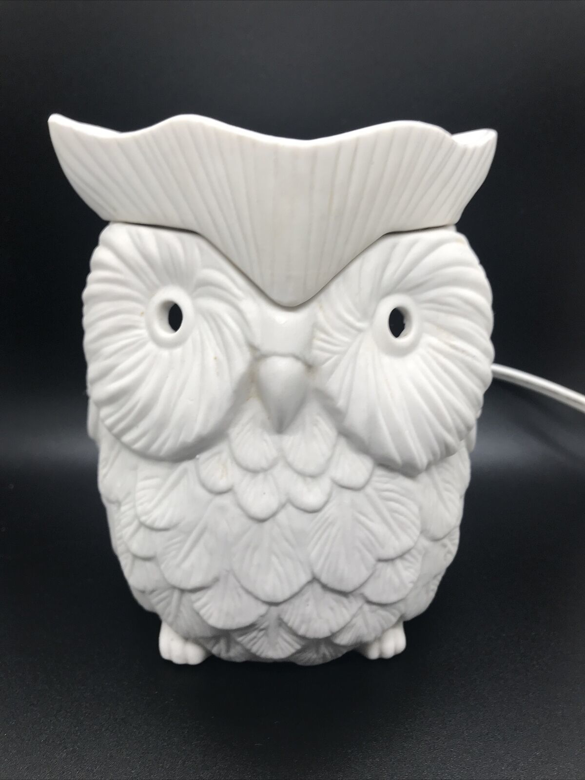Scentsy “WHOOT” Owl  Full-size Candle Wax Warmer No Box Discontinued - $24.99