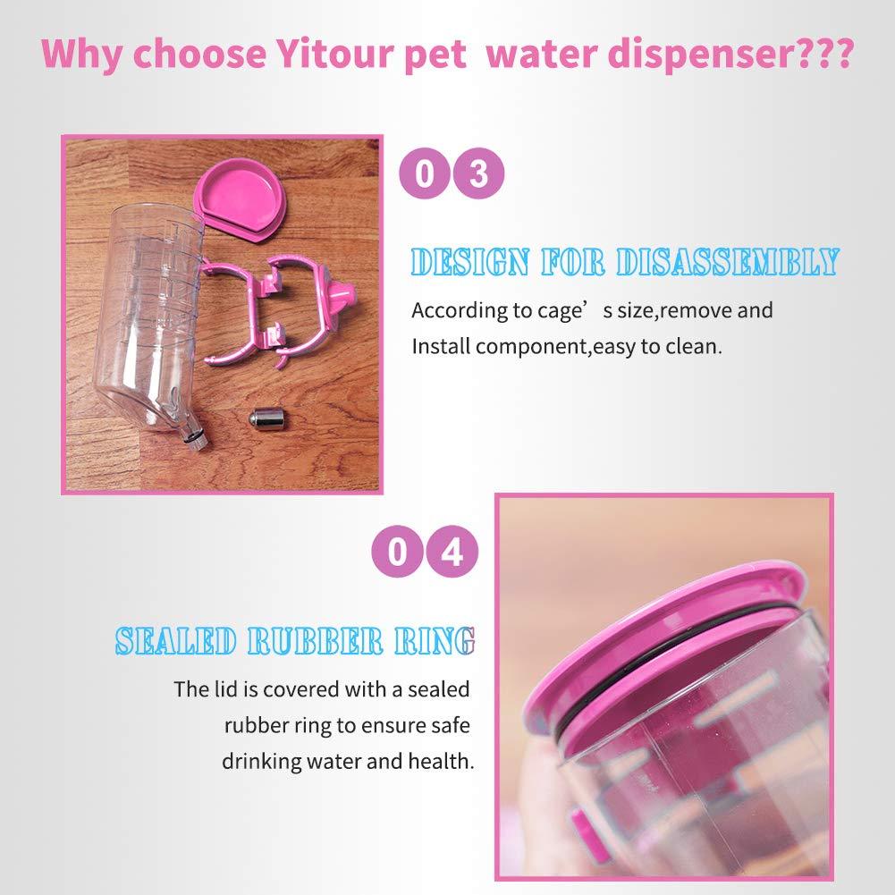 Best Dog Kennel Water Bottle at Ray Hittle blog