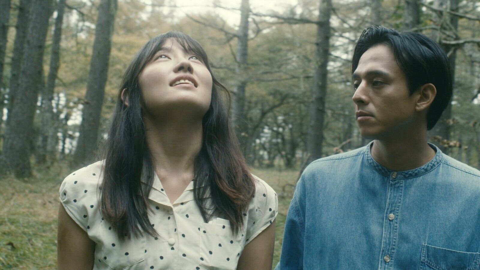 The Forest Of Love Deep Cut JAPANESE DRAMA~The Forest Of Love:Deep Cut(1-7End)English subtitle&All