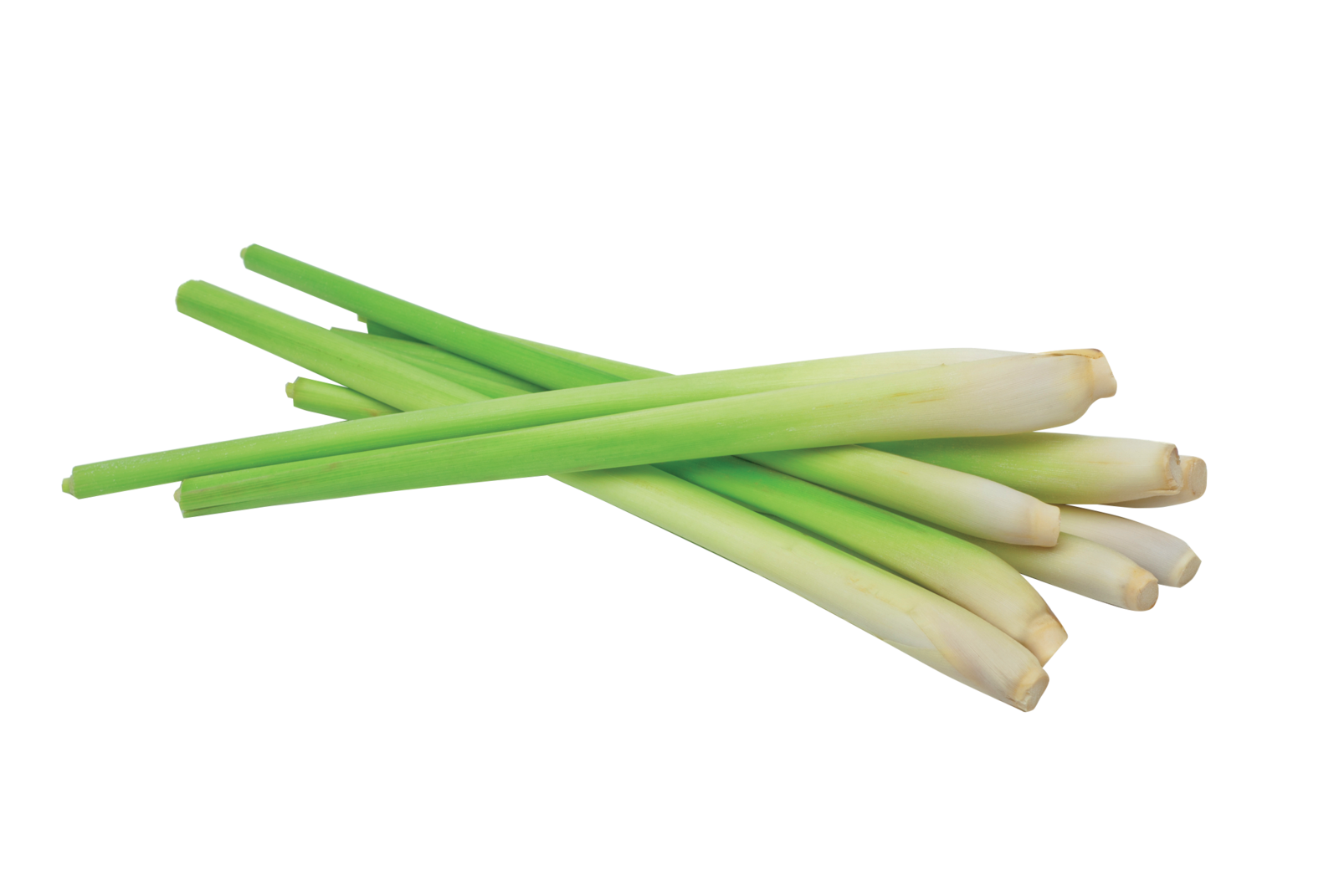SALE ! 6 Live Lemongrass Stalks Organic Cymbopogon Plant Fruits