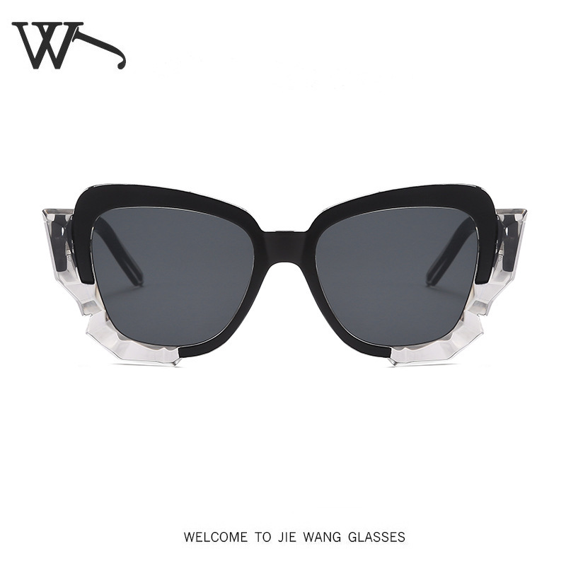 Retro Polarized Sunglasses for Men and Women UV Protection LVL-373