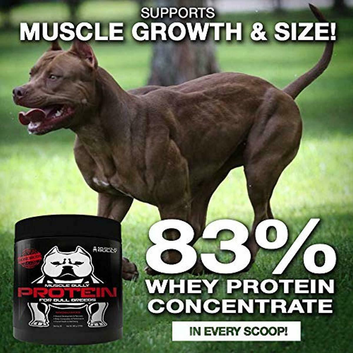 Muscle Bully Protein Supplement for Dogs Supports Muscle Growth, Recovery and Vitamins